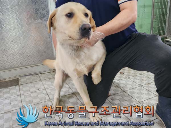 종료(반환) 라브라…